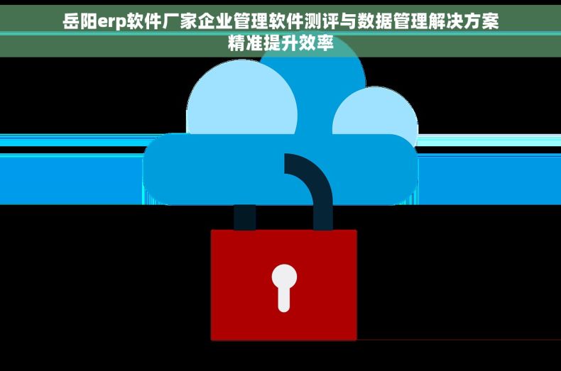 岳阳erp软件厂家企业管理软件测评与数据管理解决方案精准提升效率