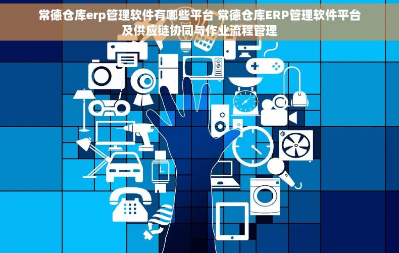 常德仓库erp管理软件有哪些平台 常德仓库ERP管理软件平台及供应链协同与作业流程管理