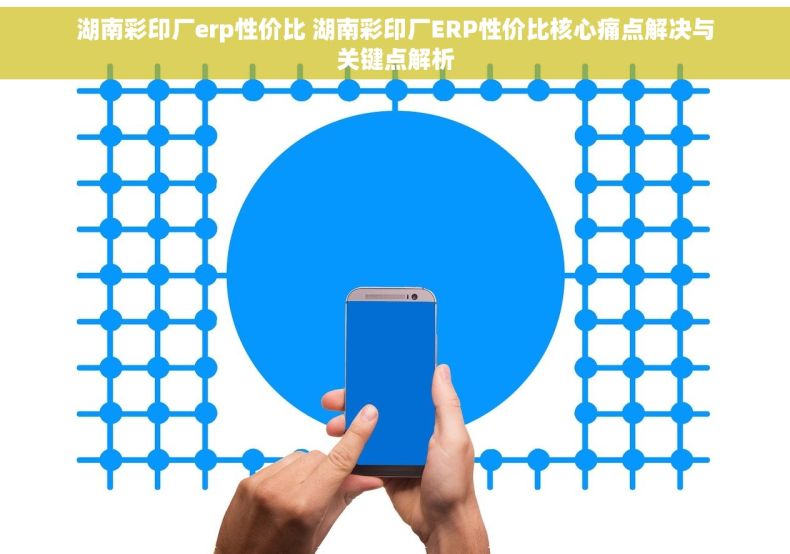 湖南彩印厂erp性价比 湖南彩印厂ERP性价比核心痛点解决与关键点解析