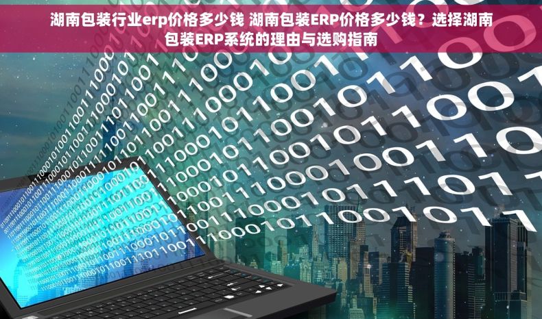 湖南包装行业erp价格多少钱 湖南包装ERP价格多少钱？选择湖南包装ERP系统的理由与选购指南
