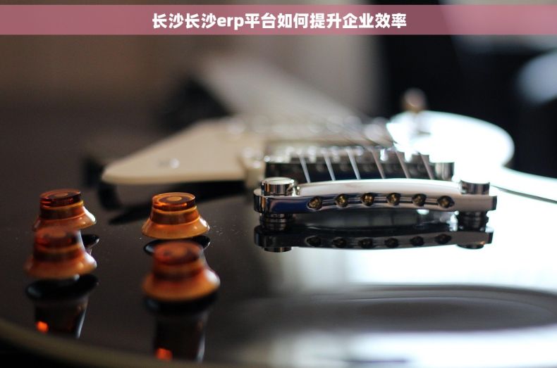 长沙长沙erp平台如何提升企业效率