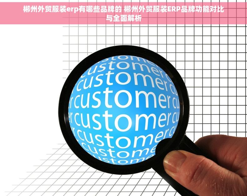 郴州外贸服装erp有哪些品牌的 郴州外贸服装ERP品牌功能对比与全面解析