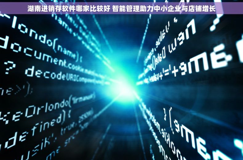 湖南进销存软件哪家比较好 智能管理助力中小企业与店铺增长