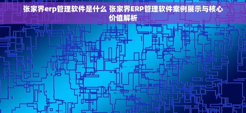 张家界erp管理软件是什么 张家界ERP管理软件案例展示与核心价值解析