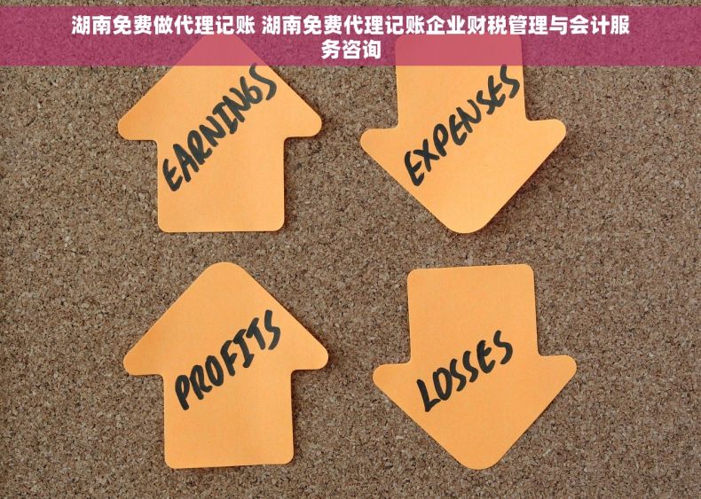 湖南免费做代理记账 湖南免费代理记账企业财税管理与会计服务咨询