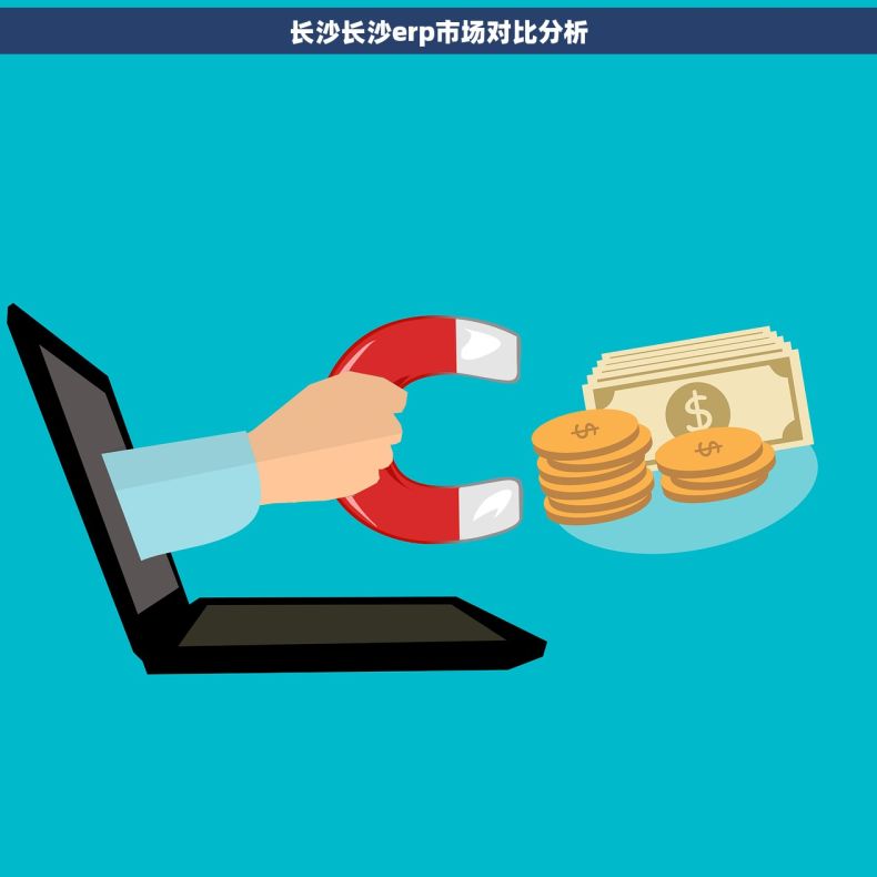 长沙长沙erp市场对比分析