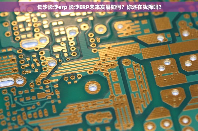 长沙长沙erp 长沙ERP未来发展如何？你还在犹豫吗？
