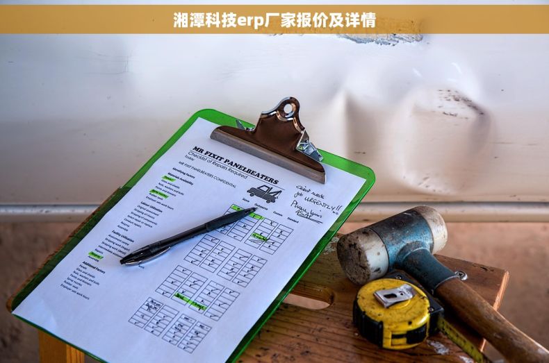 湘潭科技erp厂家报价及详情