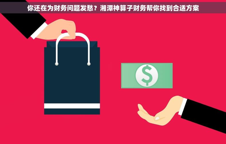 你还在为财务问题发愁？湘潭神算子财务帮你找到合适方案