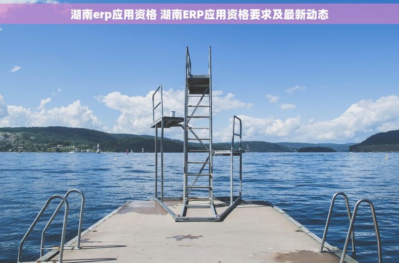 湖南erp应用资格 湖南ERP应用资格要求及最新动态