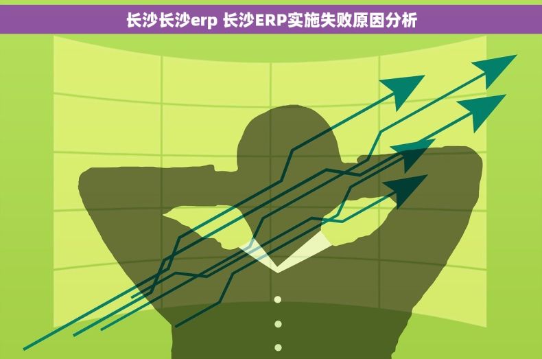 长沙长沙erp 长沙ERP实施失败原因分析