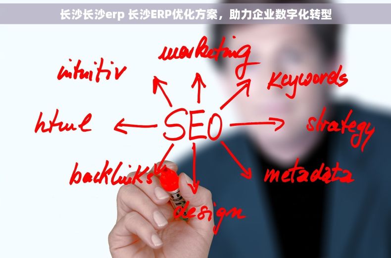 长沙长沙erp 长沙ERP优化方案，助力企业数字化转型