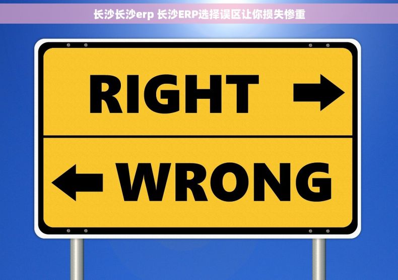 长沙长沙erp 长沙ERP选择误区让你损失惨重