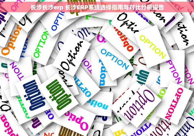 长沙长沙erp 长沙ERP系统选择指南与对比分析报告
