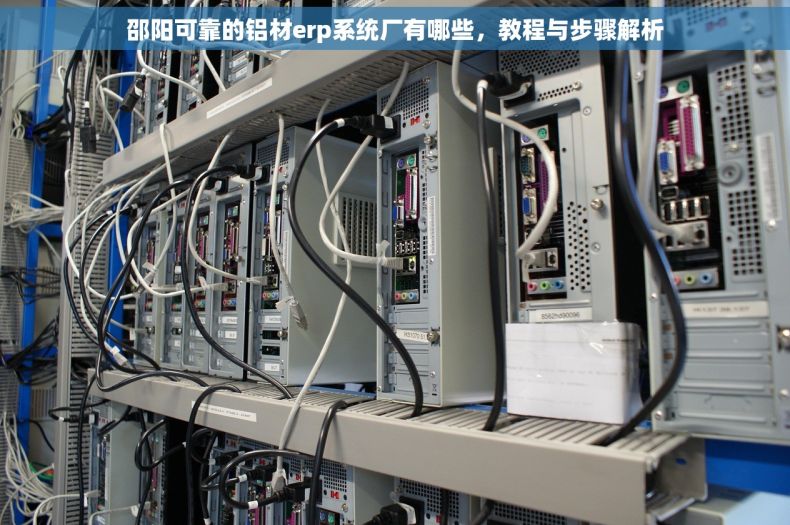邵阳可靠的铝材erp系统厂有哪些，教程与步骤解析