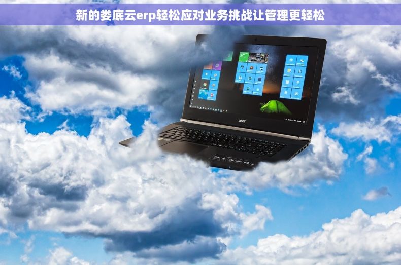 新的娄底云erp轻松应对业务挑战让管理更轻松