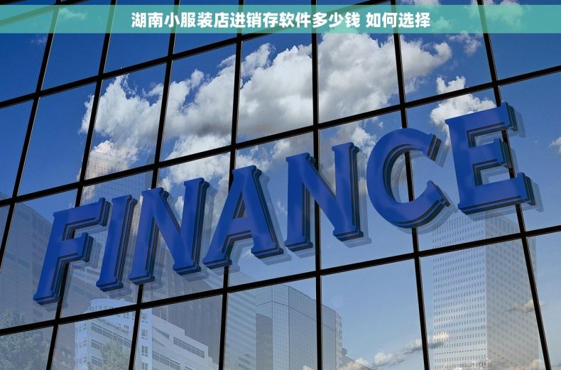 湖南小服装店进销存软件多少钱 如何选择