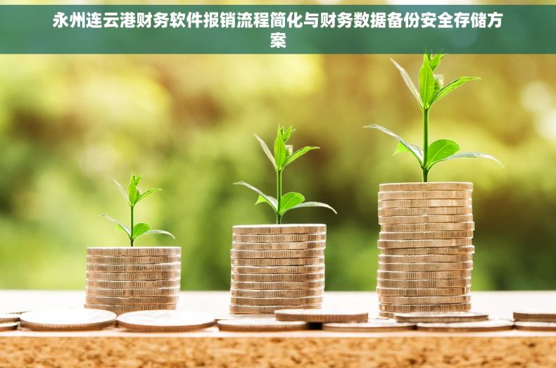 永州连云港财务软件报销流程简化与财务数据备份安全存储方案