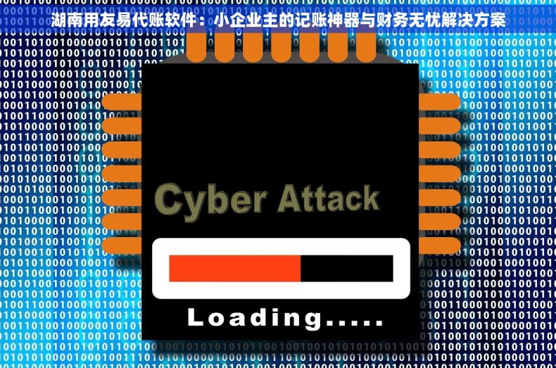 湖南用友易代账软件：小企业主的记账神器与财务无忧解决方案