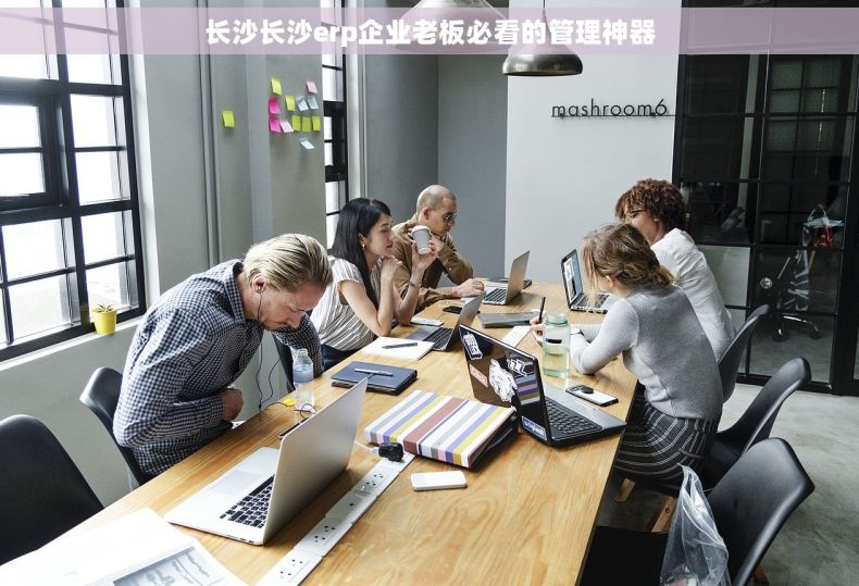 长沙长沙erp企业老板必看的管理神器