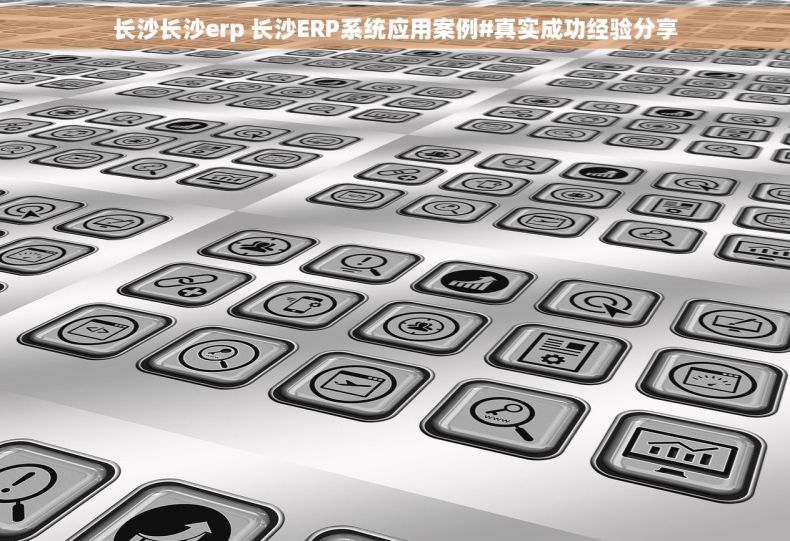 长沙长沙erp 长沙ERP系统应用案例#真实成功经验分享