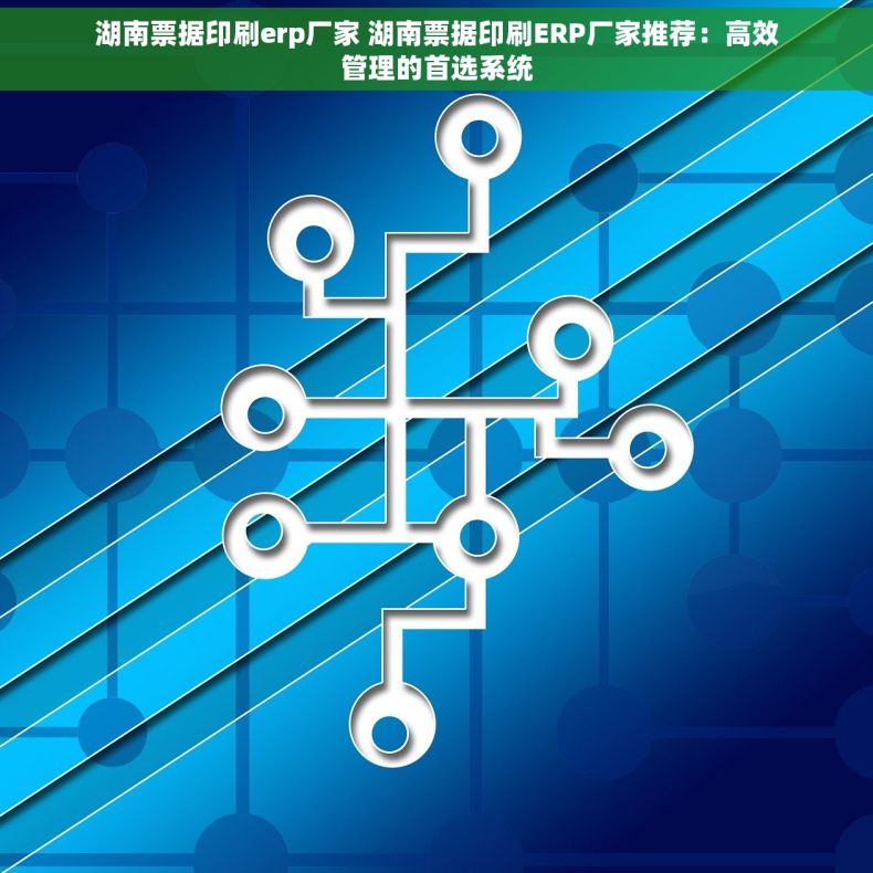 湖南票据印刷erp厂家 湖南票据印刷ERP厂家推荐：高效管理的首选系统