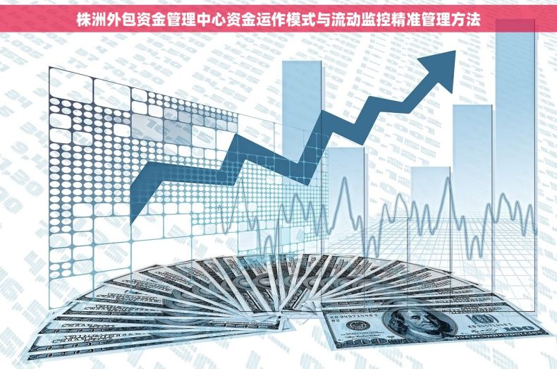株洲外包资金管理中心资金运作模式与流动监控精准管理方法