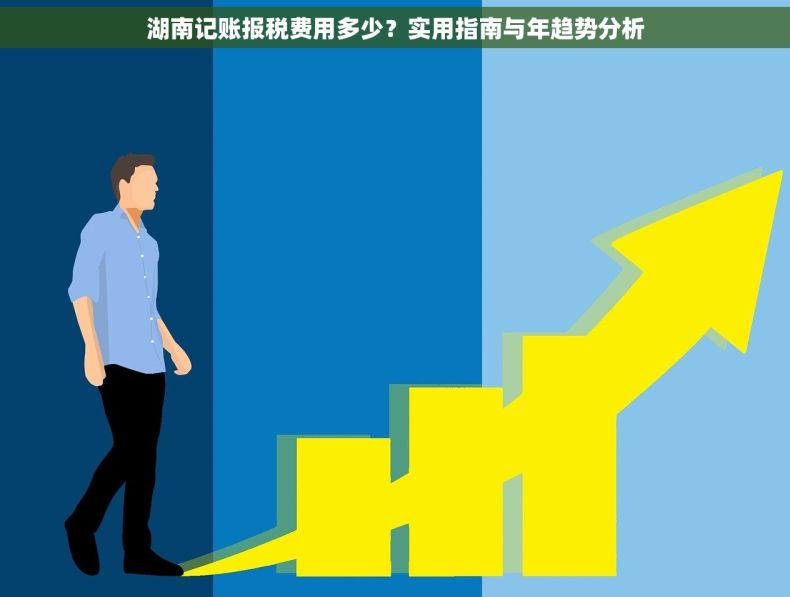 湖南记账报税费用多少？实用指南与年趋势分析