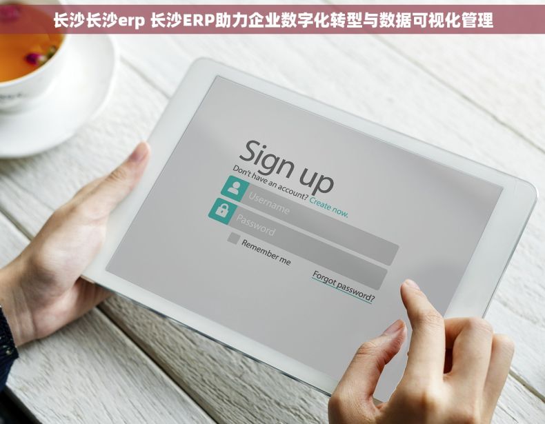 长沙长沙erp 长沙ERP助力企业数字化转型与数据可视化管理