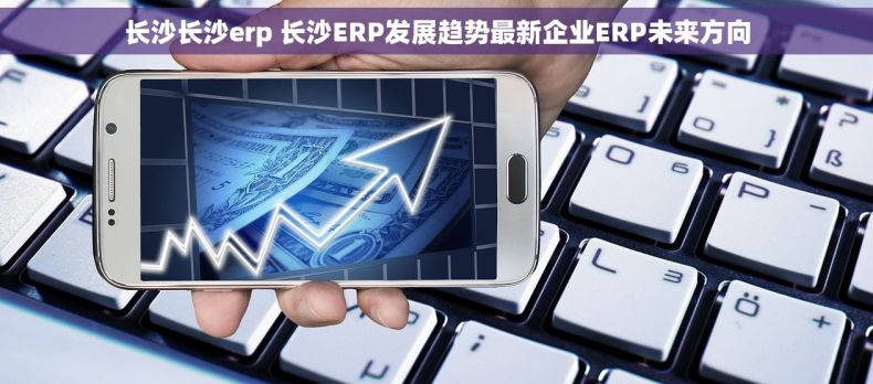 长沙长沙erp 长沙ERP发展趋势最新企业ERP未来方向