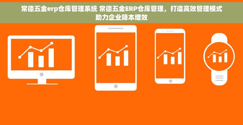 常德五金erp仓库管理系统 常德五金ERP仓库管理，打造高效管理模式助力企业降本增效