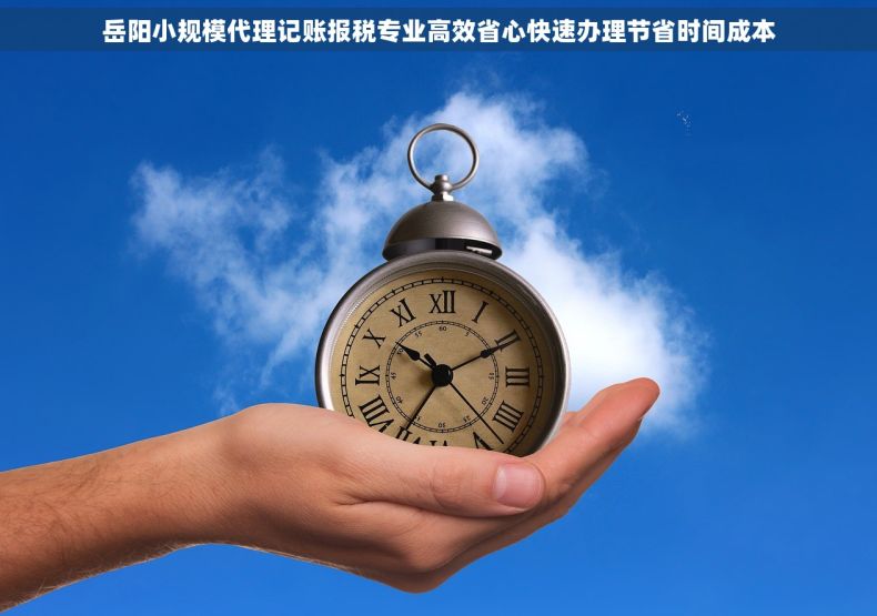 岳阳小规模代理记账报税专业高效省心快速办理节省时间成本