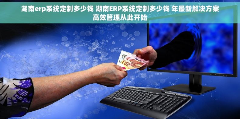 湖南erp系统定制多少钱 湖南ERP系统定制多少钱 年最新解决方案高效管理从此开始