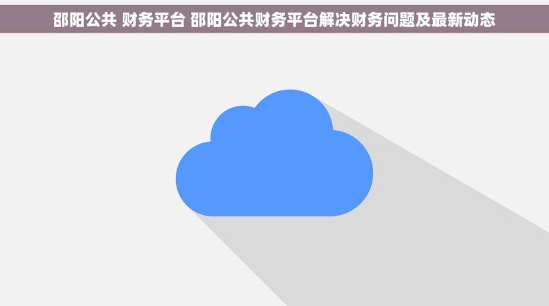 邵阳公共 财务平台 邵阳公共财务平台解决财务问题及最新动态