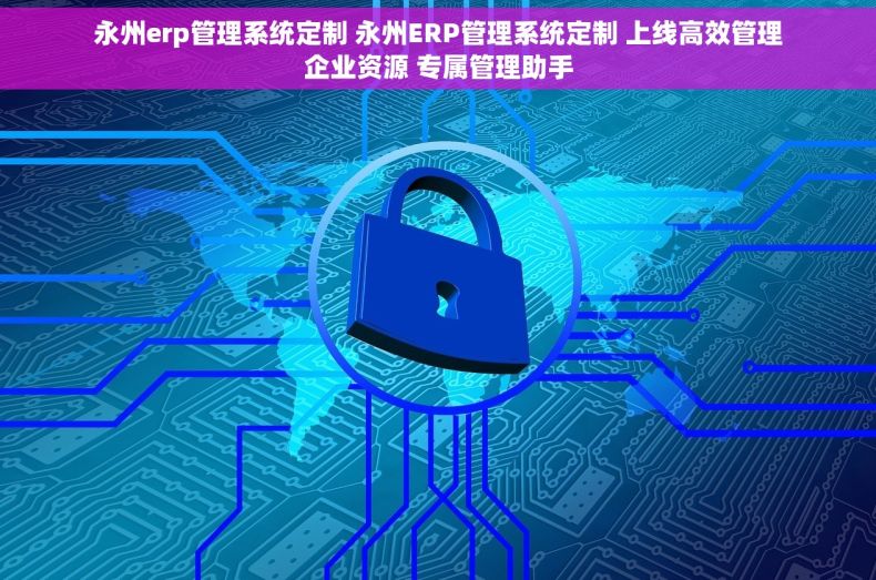 永州erp管理系统定制 永州ERP管理系统定制 上线高效管理企业资源 专属管理助手