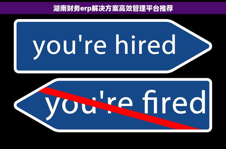 湖南财务erp解决方案高效管理平台推荐