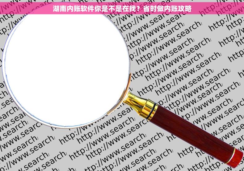 湖南内账软件你是不是在找？省时做内账攻略