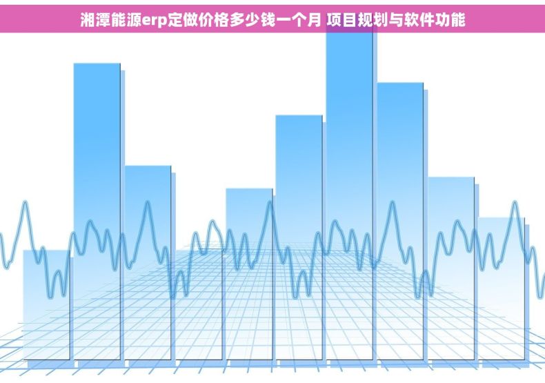 湘潭能源erp定做价格多少钱一个月 项目规划与软件功能