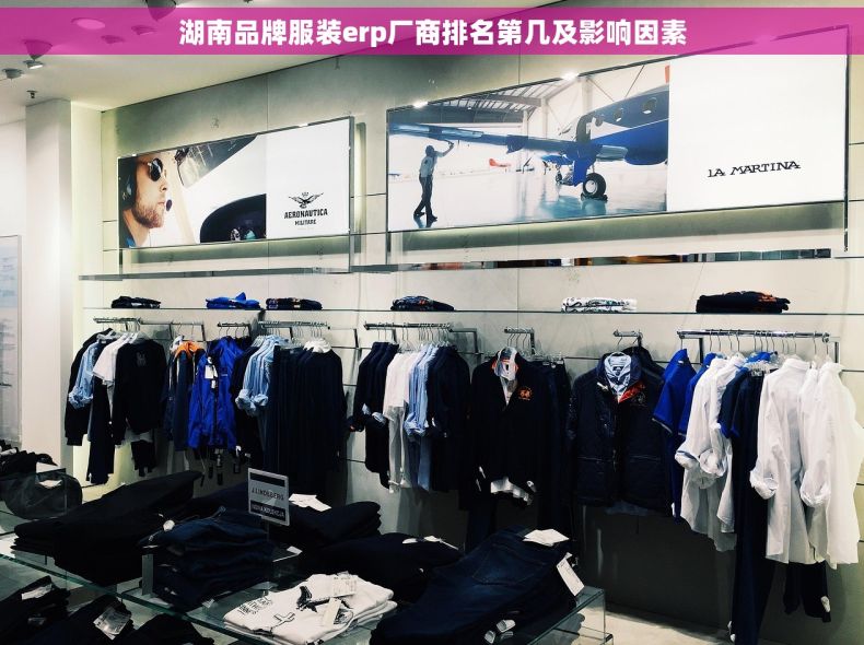 湖南品牌服装erp厂商排名第几及影响因素