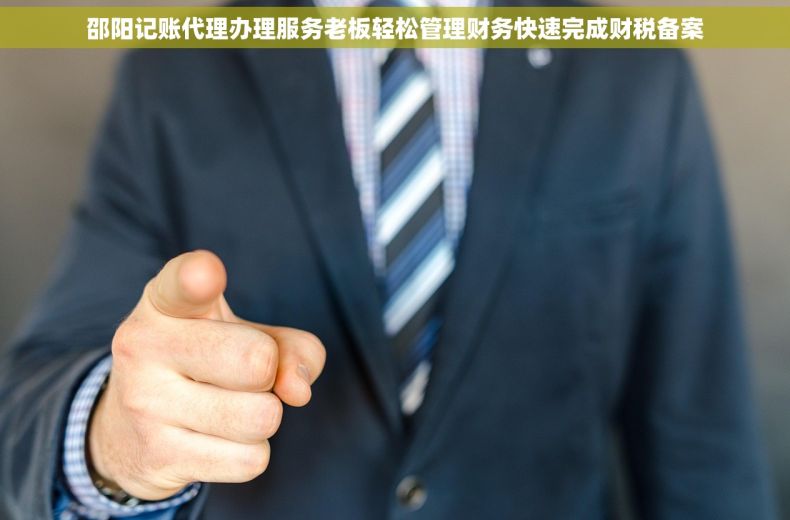 邵阳记账代理办理服务老板轻松管理财务快速完成财税备案
