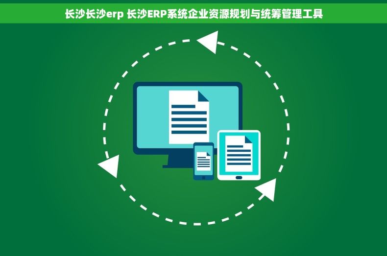 长沙长沙erp 长沙ERP系统企业资源规划与统筹管理工具