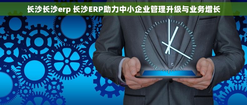 长沙长沙erp 长沙ERP助力中小企业管理升级与业务增长