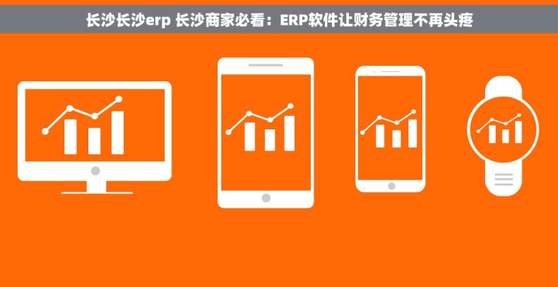 长沙长沙erp 长沙商家必看：ERP软件让财务管理不再头疼