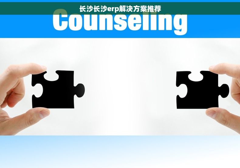 长沙长沙erp解决方案推荐