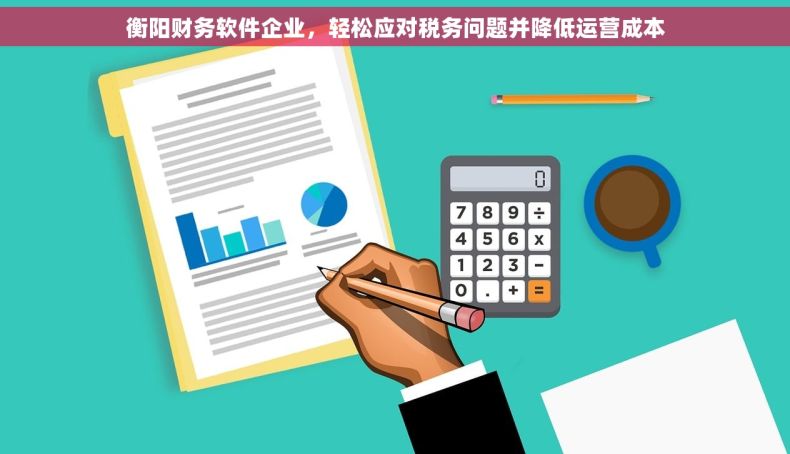 衡阳财务软件企业，轻松应对税务问题并降低运营成本