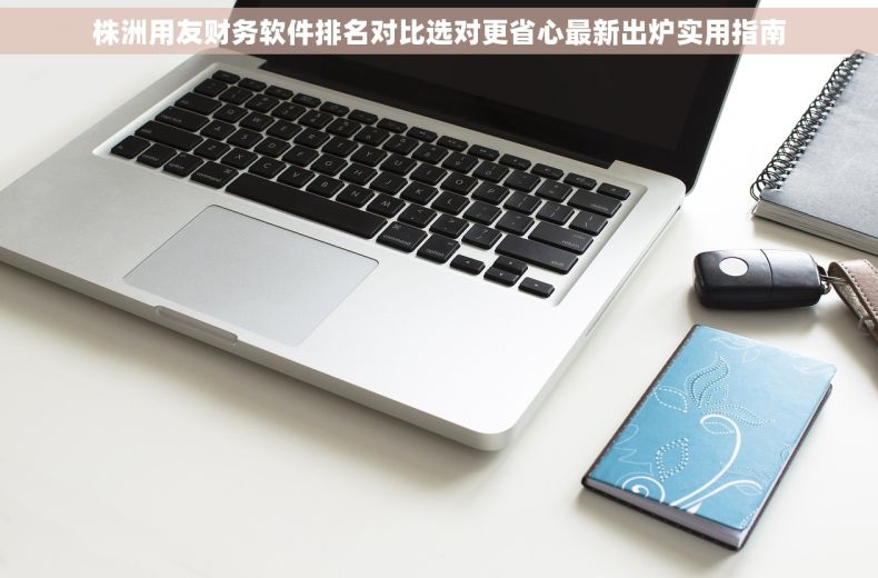 株洲用友财务软件排名对比选对更省心最新出炉实用指南