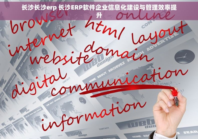 长沙长沙erp 长沙ERP软件企业信息化建设与管理效率提升