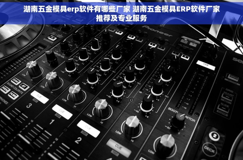 湖南五金模具erp软件有哪些厂家 湖南五金模具ERP软件厂家推荐及专业服务