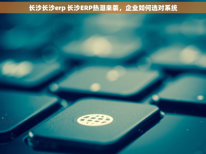 长沙长沙erp 长沙ERP热潮来袭，企业如何选对系统
