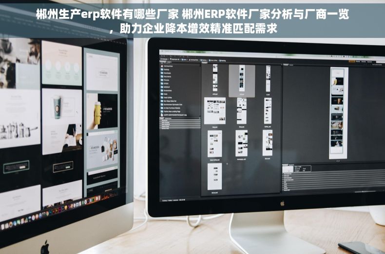郴州生产erp软件有哪些厂家 郴州ERP软件厂家分析与厂商一览，助力企业降本增效精准匹配需求